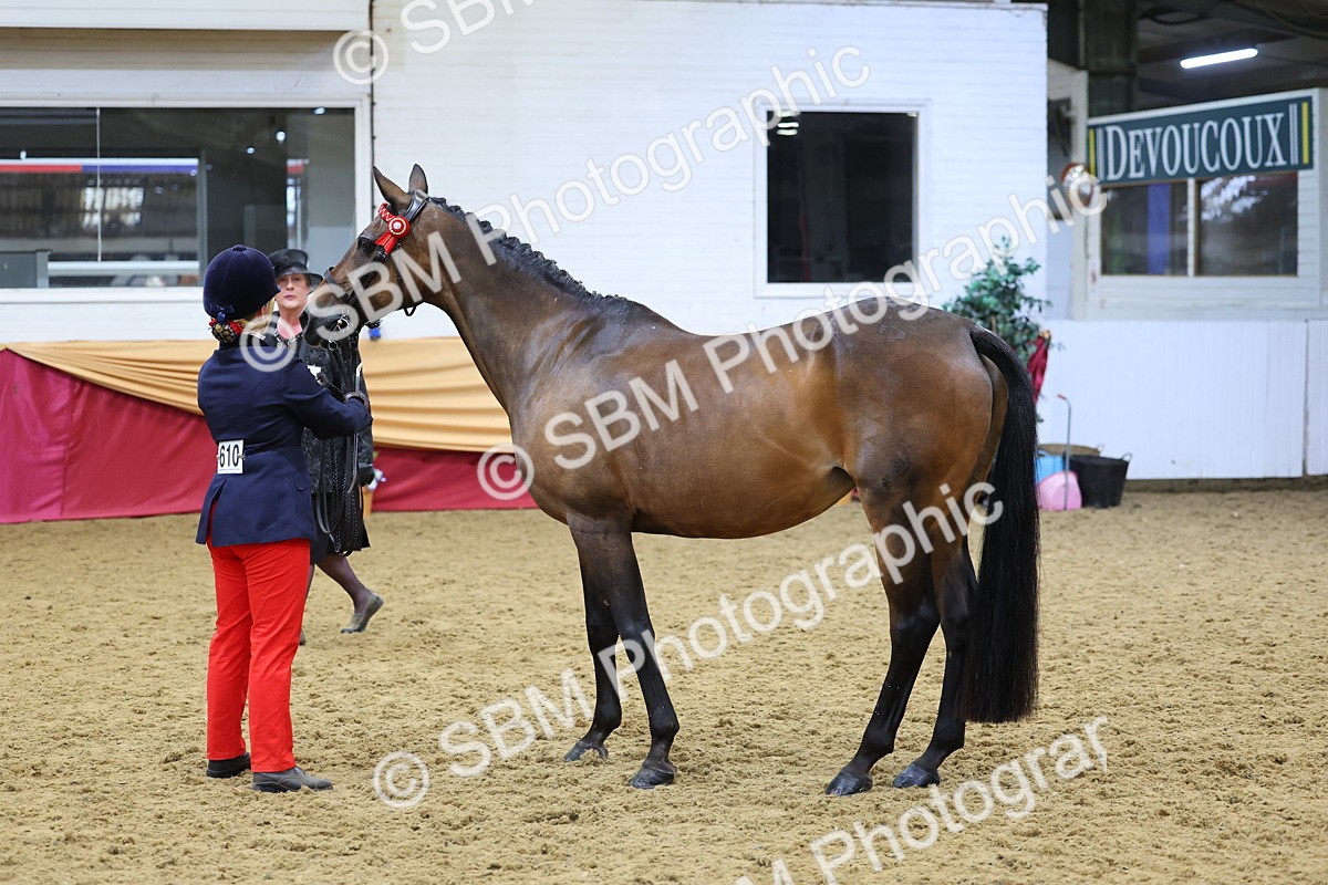 SBM_21090 - Class 902 - Supreme Final IH Veteran