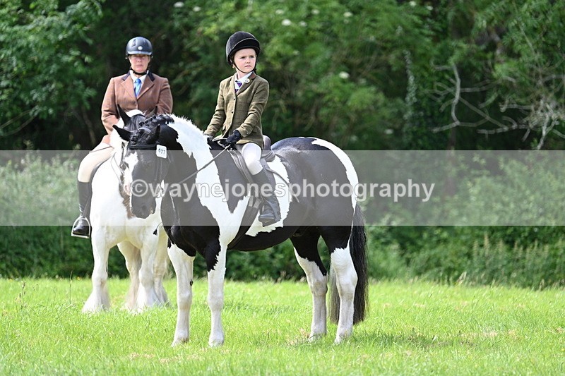 WJ7_1426 - Class 11 Condition & Turnout