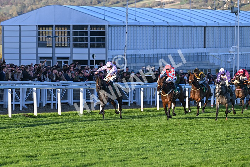 251025-Race 7-Chicker-0296 - Race 7