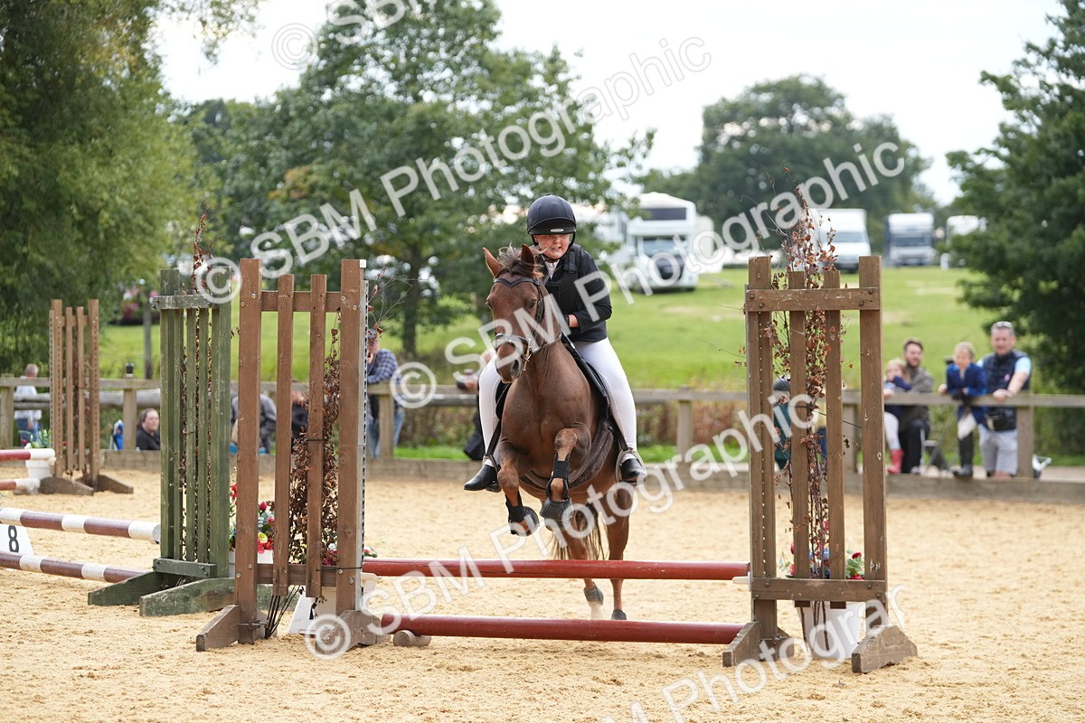 SBM_74738 - J4 - Mini Tour Junior Pony 45cm Championship