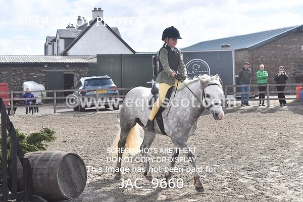 JAC_9660 - CLASS 1 Nursery Novice Working Hunter (0.50m)