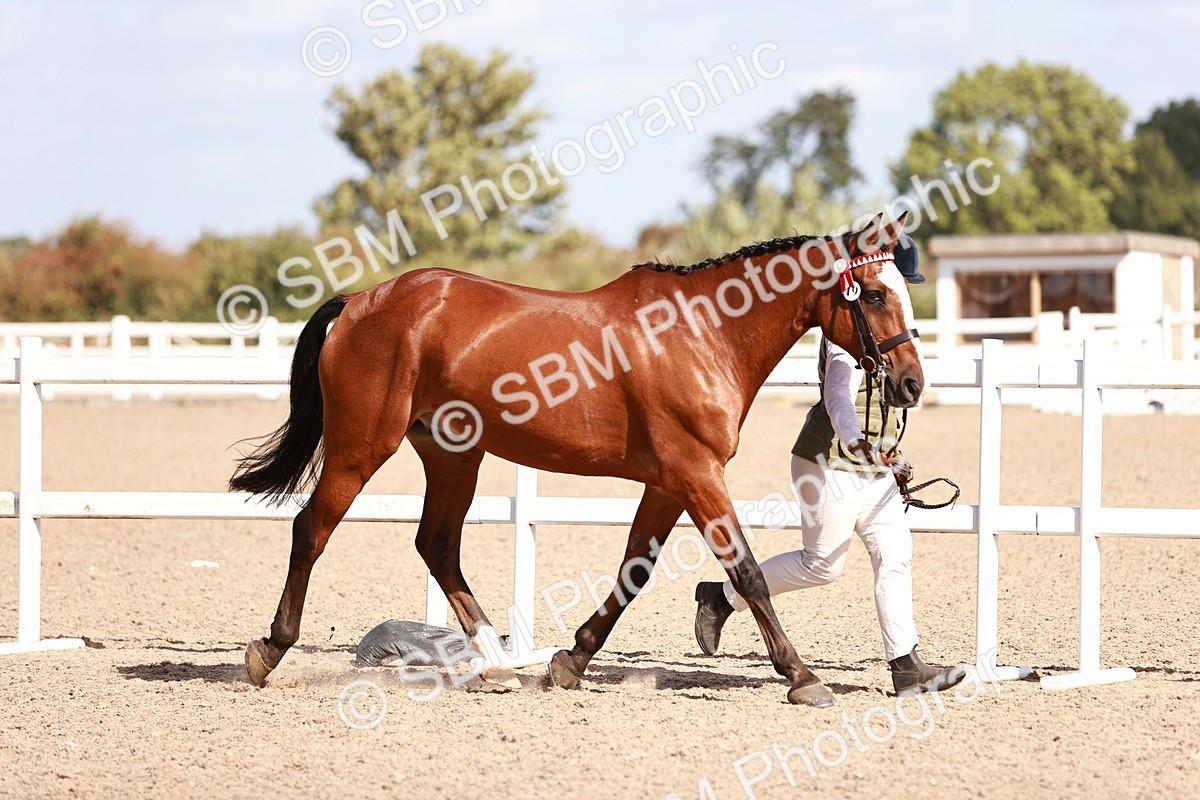SBM_22967 - Class 707 - IH groom Helpers Class