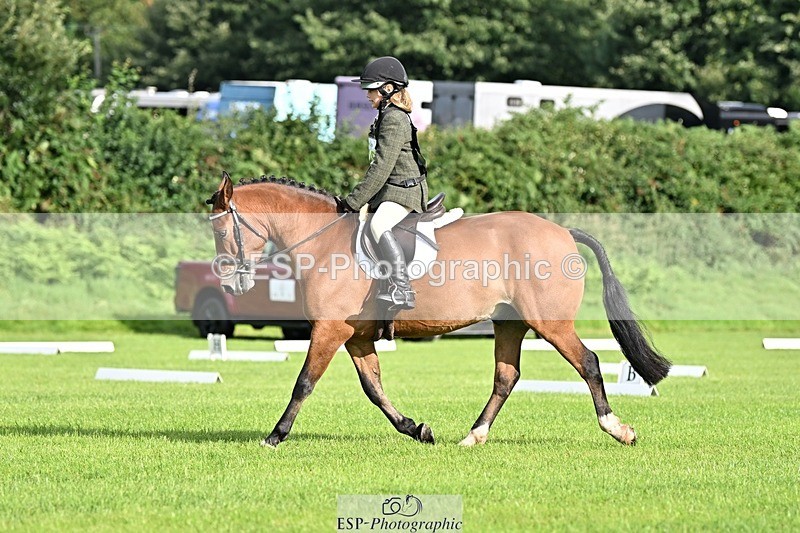 230826-090313-15909 - Sections A & B - 9 to 10am