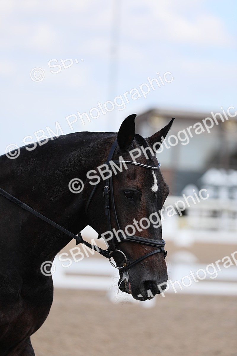 SBM_04073 - Class 31 Prelim 1
