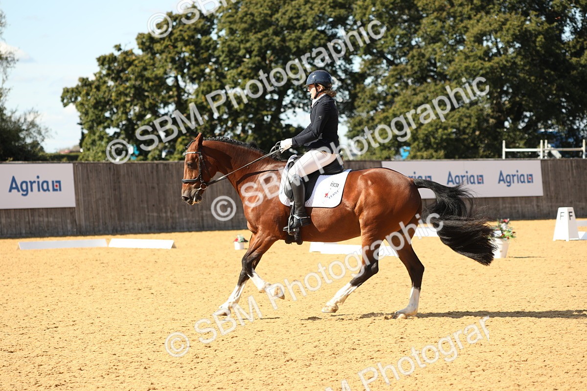 SBM_24541 - D17 - Grand Tour Championship - Novice 27