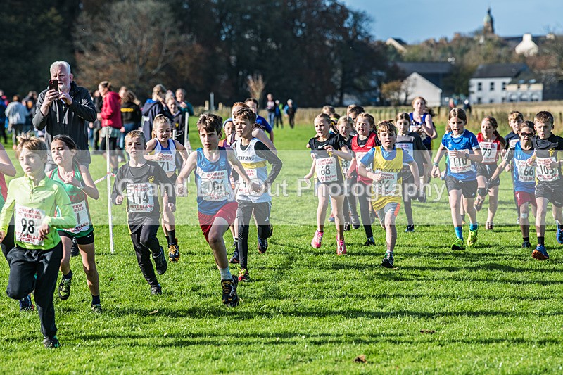 Cumbria XC-75 - Cumbria XC League Workington Saturday 26th October 2024
