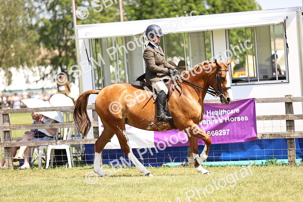 SBM_15061 - Class 79-80 - LIHS BSHA Rising Star Ridden Hunter