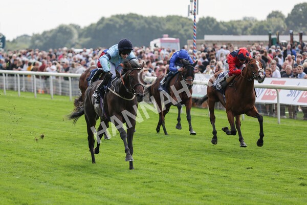 yr18082021r2-15 - Race 2 2.25pm Tattersalls Acomb Stakes