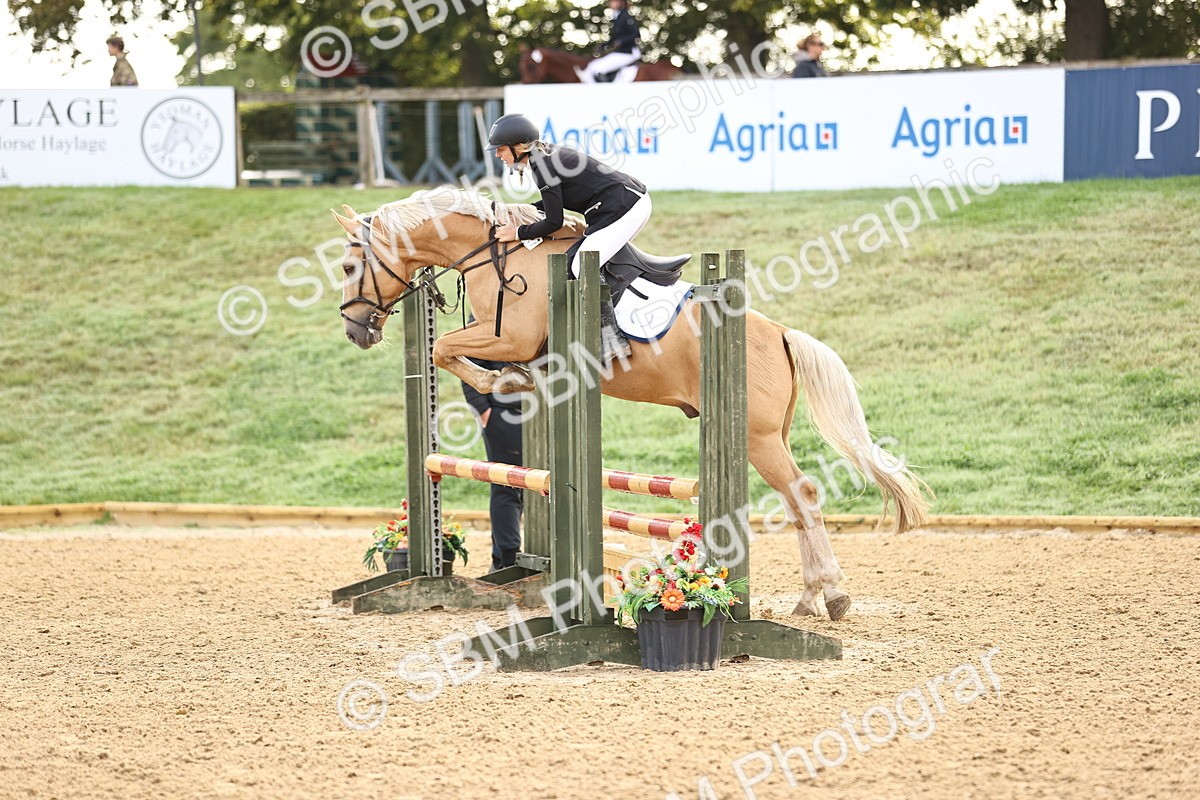 SBM_55123 - J62 - Clear Round 90cm