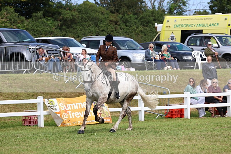 3E7A0249 - Class 6: Rising Star Maxi Cobs