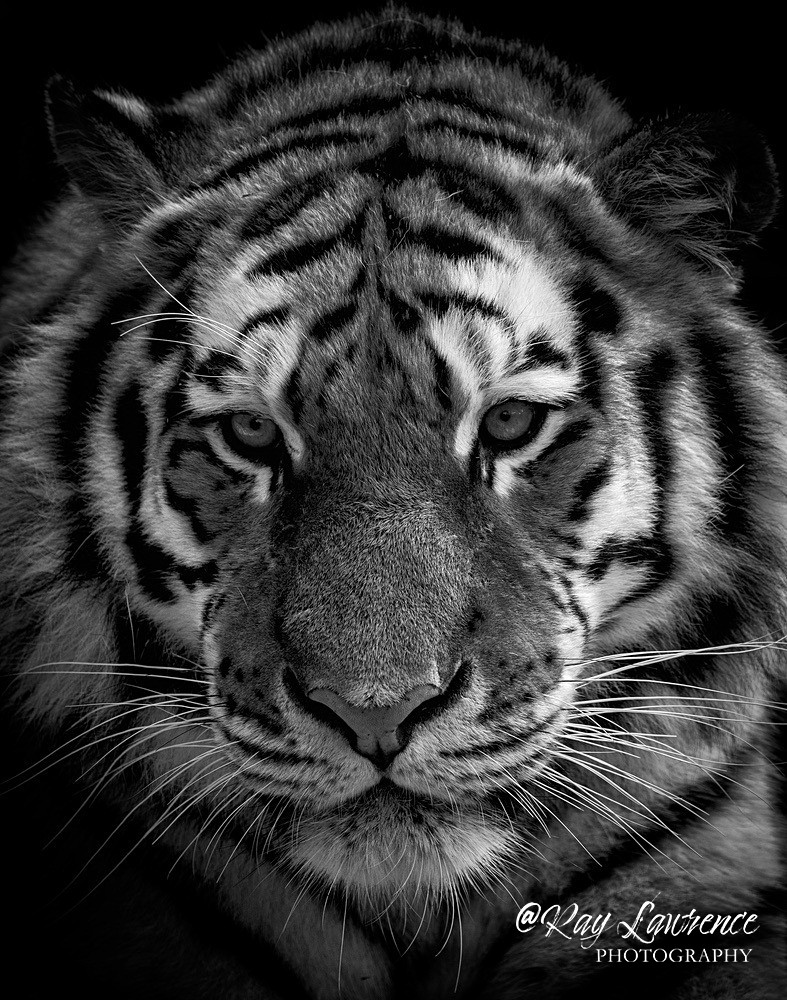 20211022-RLP_9414 - Wildlife - Other