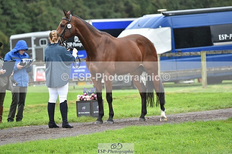 231018-124618-00504 - 062-CLASS.ROMANCE-Eleanor.Hope-TrotUp