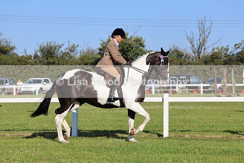 IMG_1191 - Class 27: Ridden Plaited Coloured Horse
