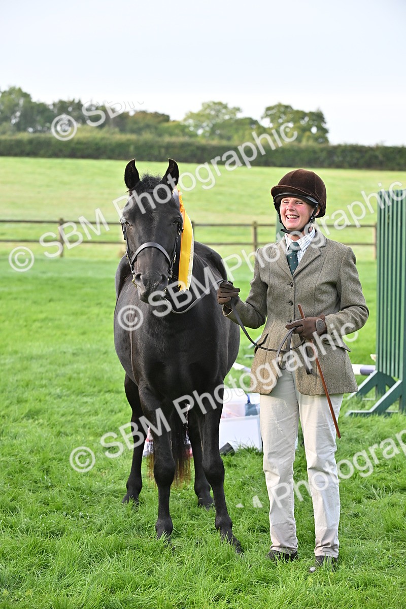 SBM_55390 - S44 - Youngstock In Hand