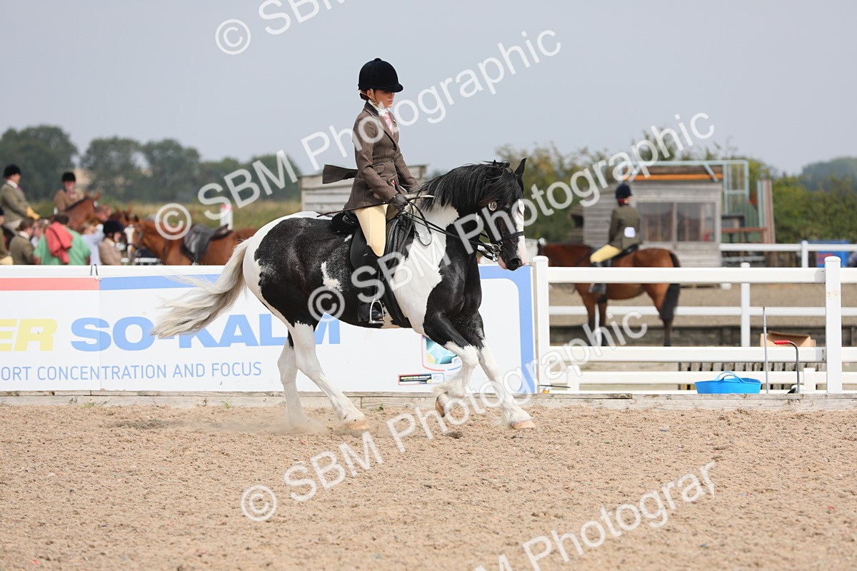 SBM_12791 - Class 307 Ridden Coloured Pony