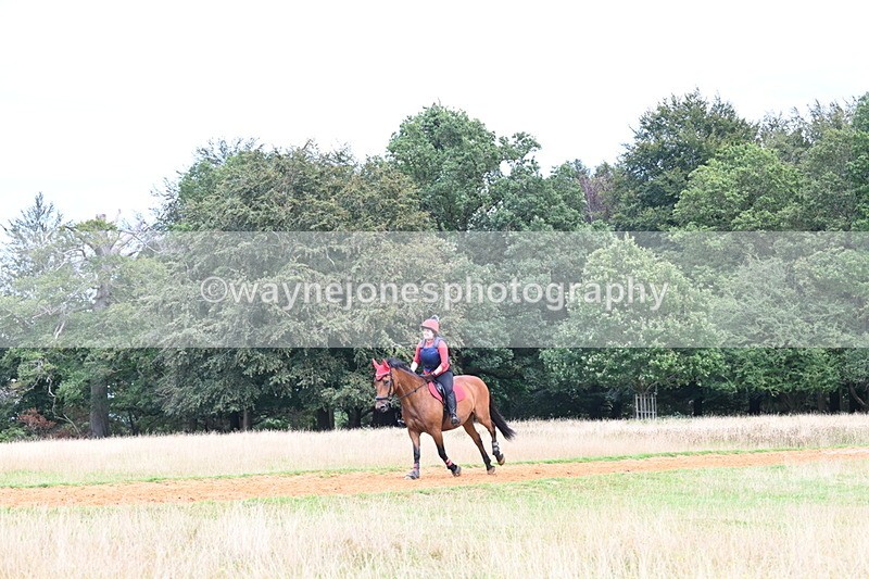 DSC_8868 - Time at Statue 14:33 to 15:10