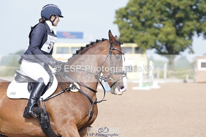 240831A-102214-00242 - 057-Bella.Balian-BEECHWOOD.JOEY