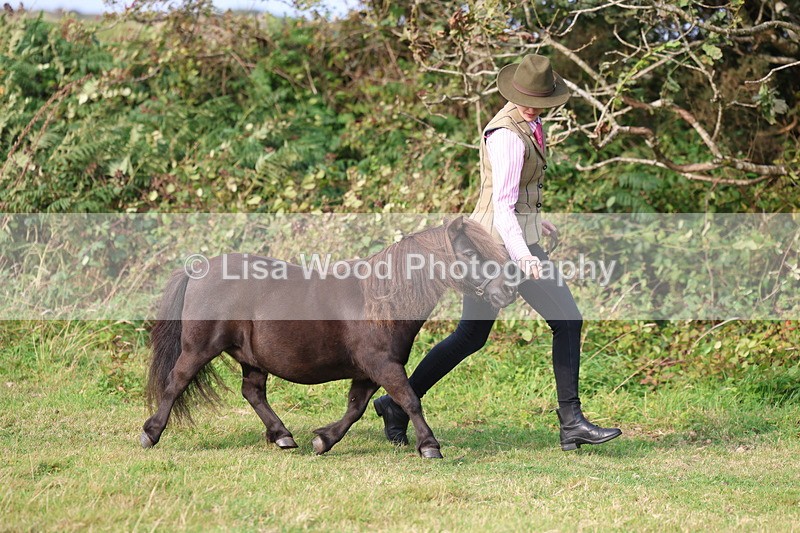 3E7A3166 - Class 12: M & M Small Breeds