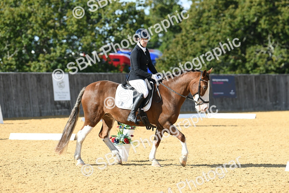 SBM_27108 - D16 - Small Tour Championship - Novice 28