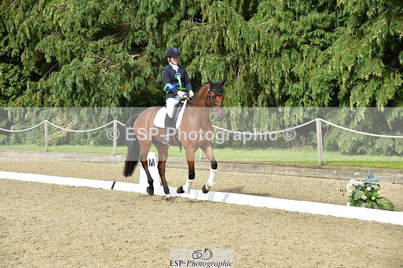 230812-160956-05455 - Novice Bronze Presentations