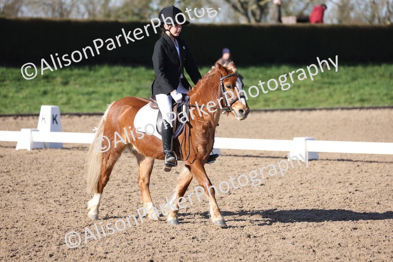 20260214-0355 - Class 4 - Novice 2