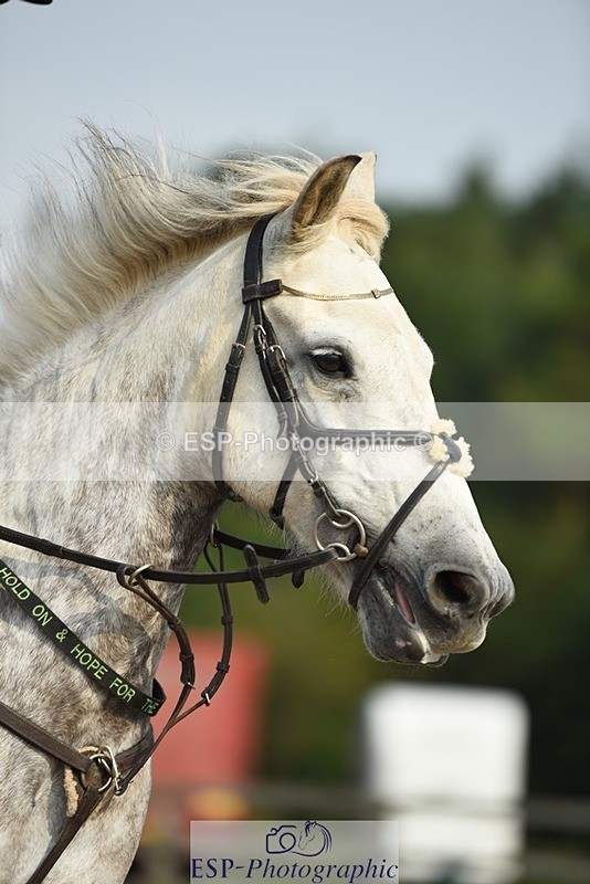 230817-093820-01665 - Kay's 1st Group - Arena