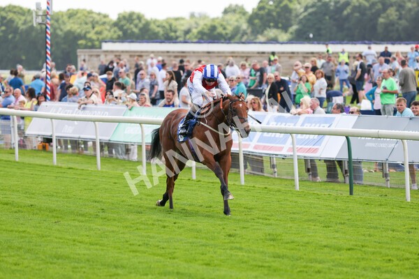 yr10062022r2-15 - Race 2 2.30pm SKF Rous Selling Stakes