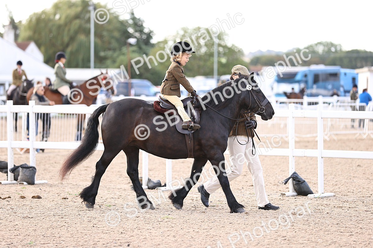 SBM_09042 - Class 403 - Grassroots Ridden - Junior