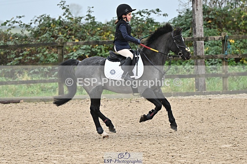 241110-095101-00102 - 40cm Showjumping