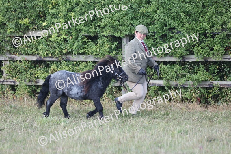 20250831-1641 - Class 22 - Mountain and Moorland Inhand