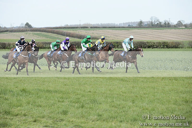 PtP 230319 144 - VWH Hunt Siddington Point-to-Point Racing 23/03/19