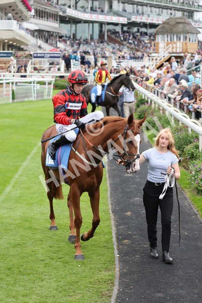 yr20082021r6-9 - Race 6 4.40pm Assured Data Protection British EBF Fillies' Stakes