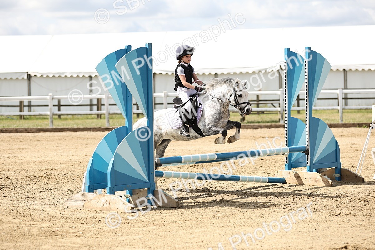 SBM_004050 - 60cm showjumping