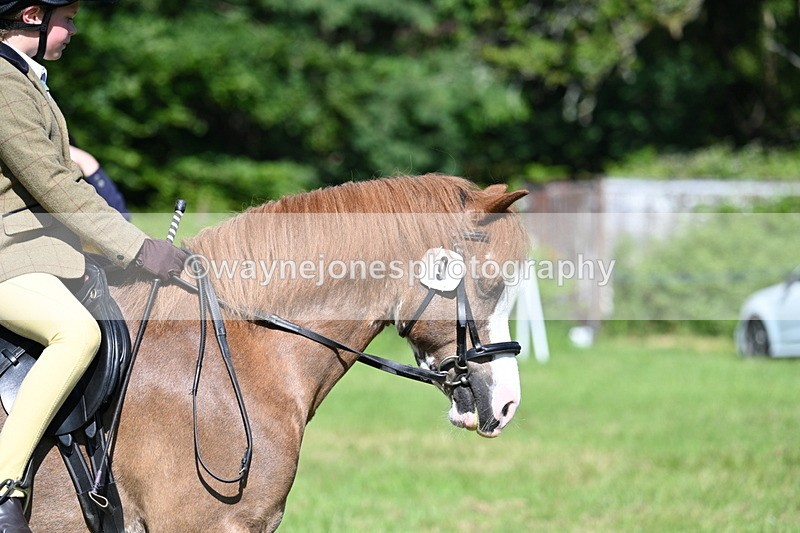 WJ7_0488 - Class 8 First Rally Pony