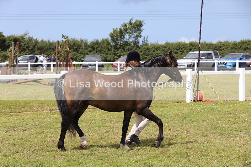 1X9A4718 - Class 35: Veteran In Hand