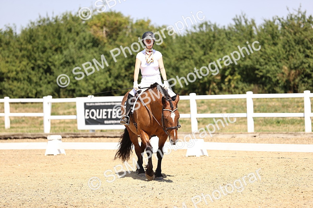 SBM_004008 - Intro 2