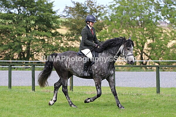 SIAL7369 - Ring 1 & 3