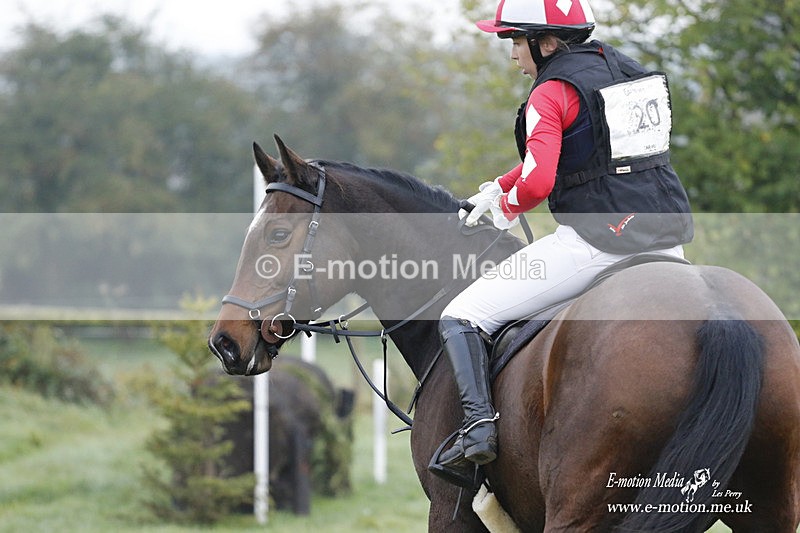 WWHT 171021 0435 - Novice Restricted (0.80m)  17/10/21