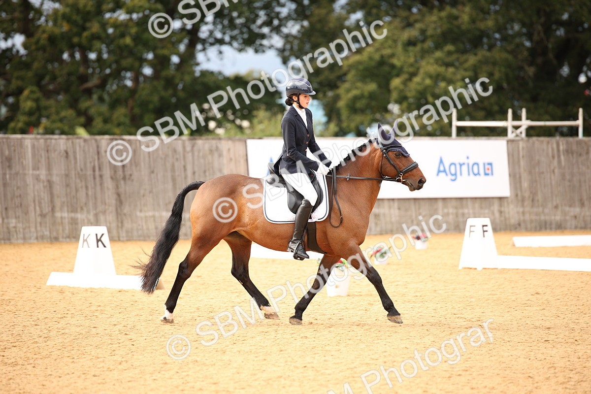 SBM_12261 - D3 Small  Tour Championship Intro A