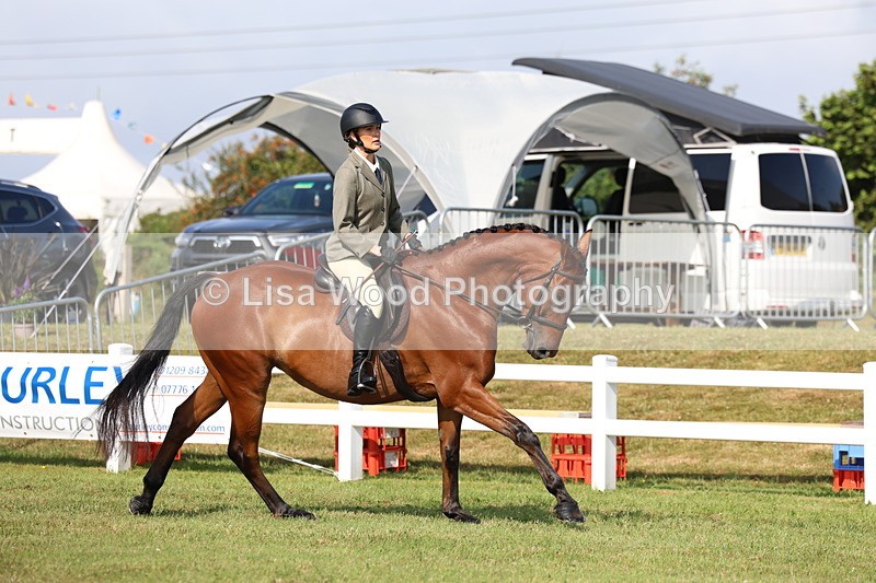 3E7A8731 - Class 3: Rising Star S/L Hunter