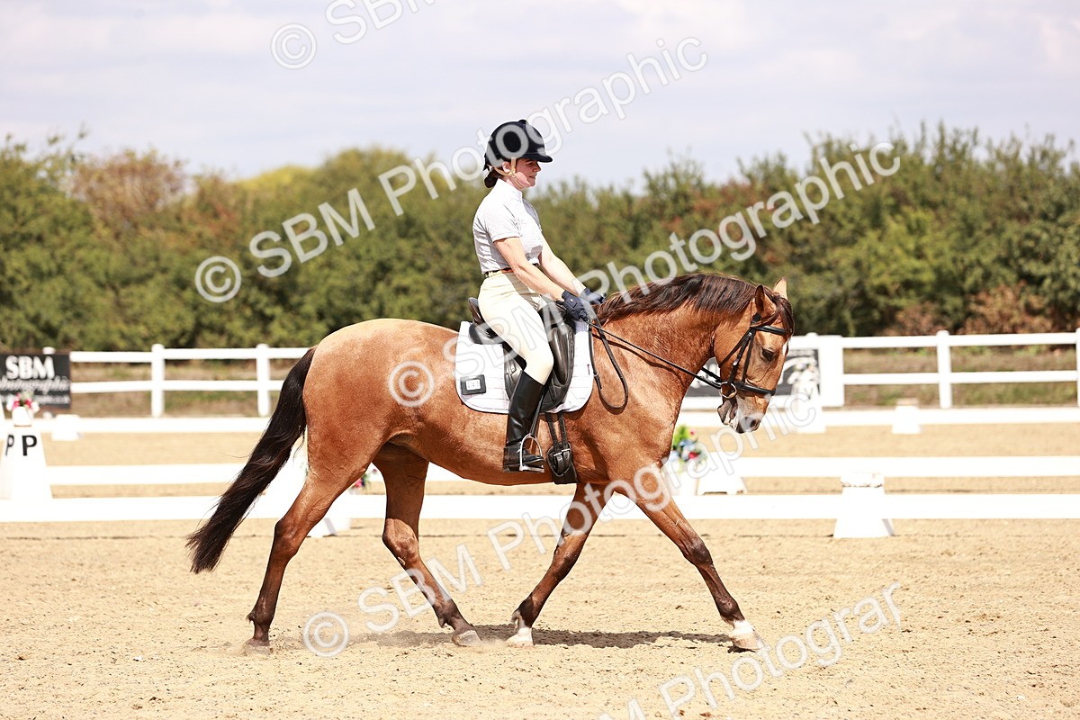 SBM_018569 - Class 17 - Novice 6