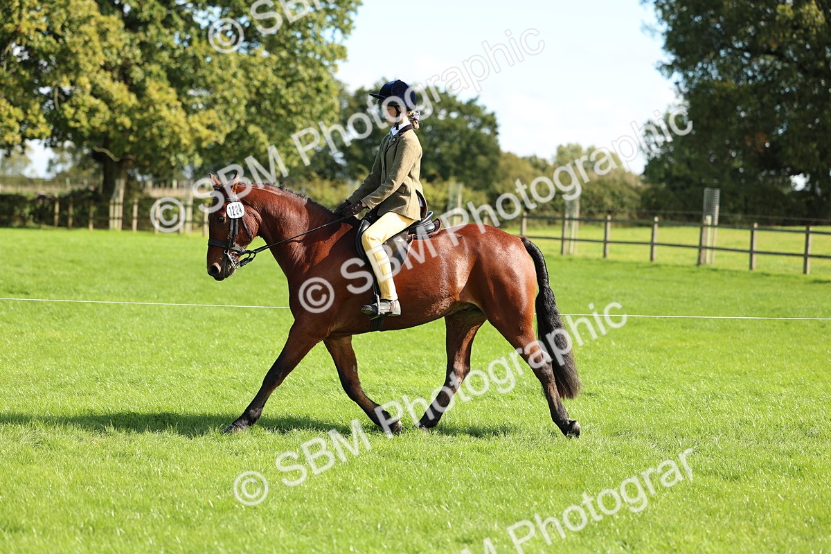 SBM_45495 - S33 - Working Hunter Pony