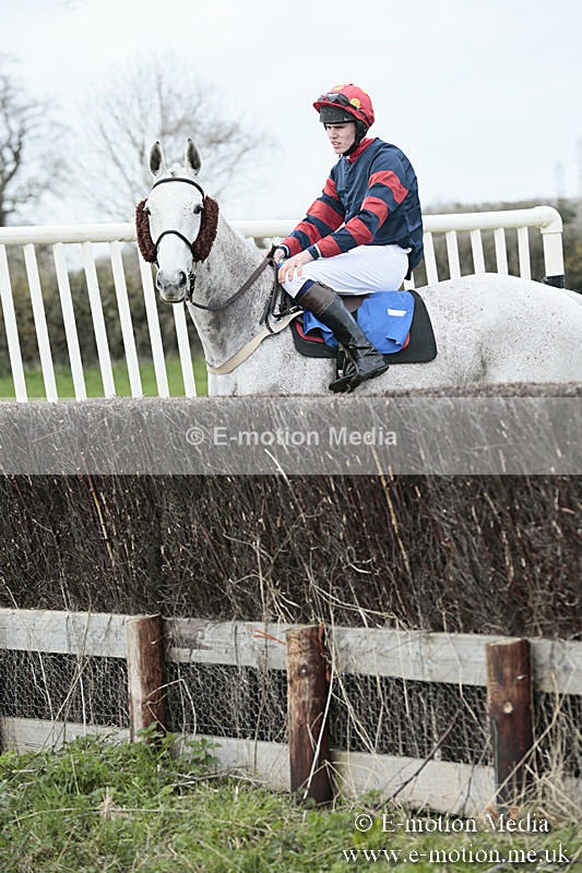 PtP 230319 61 - VWH Hunt Siddington Point-to-Point Racing 23/03/19