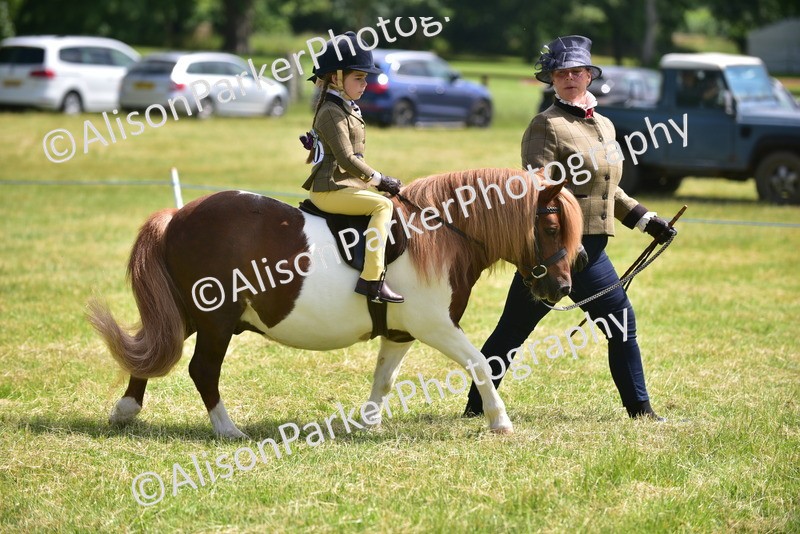 20260614-1106 - Class 11a - Lead Rein Pony (Unplaited)