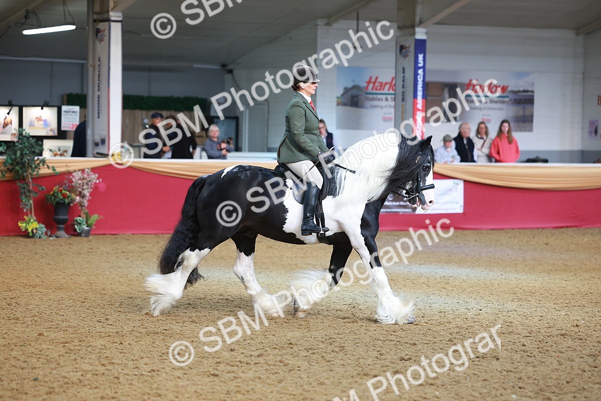 SBM_09464