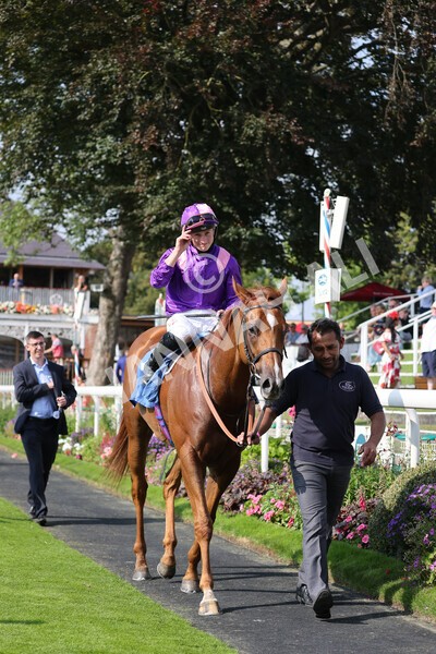 yr05092021r3-26 - Race 3 3.15pm The BioWaveGo Garrowby Stakes