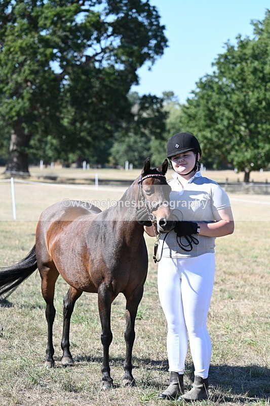 WJ7_2150 - Class 44 Child's Best Friend