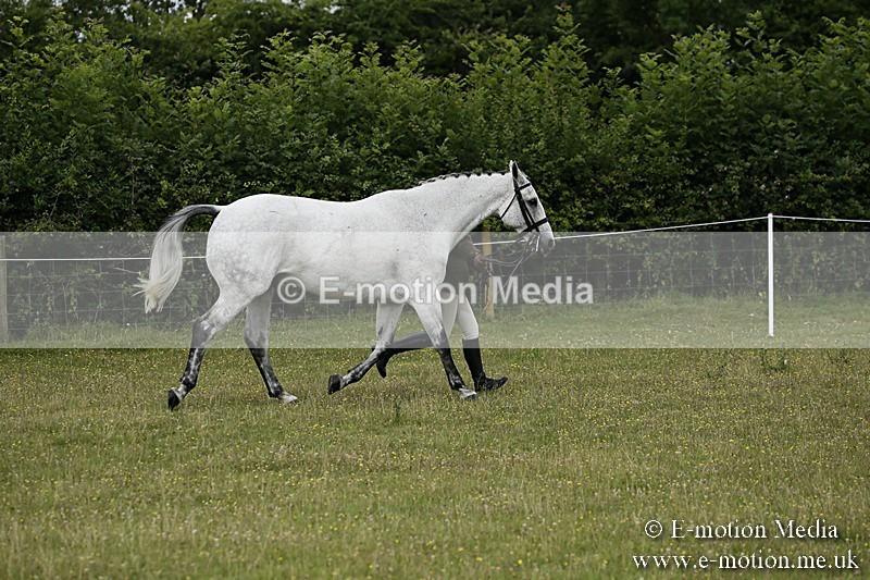 BVR160717-208 - Ring 2 BVRC Show 16/07/17