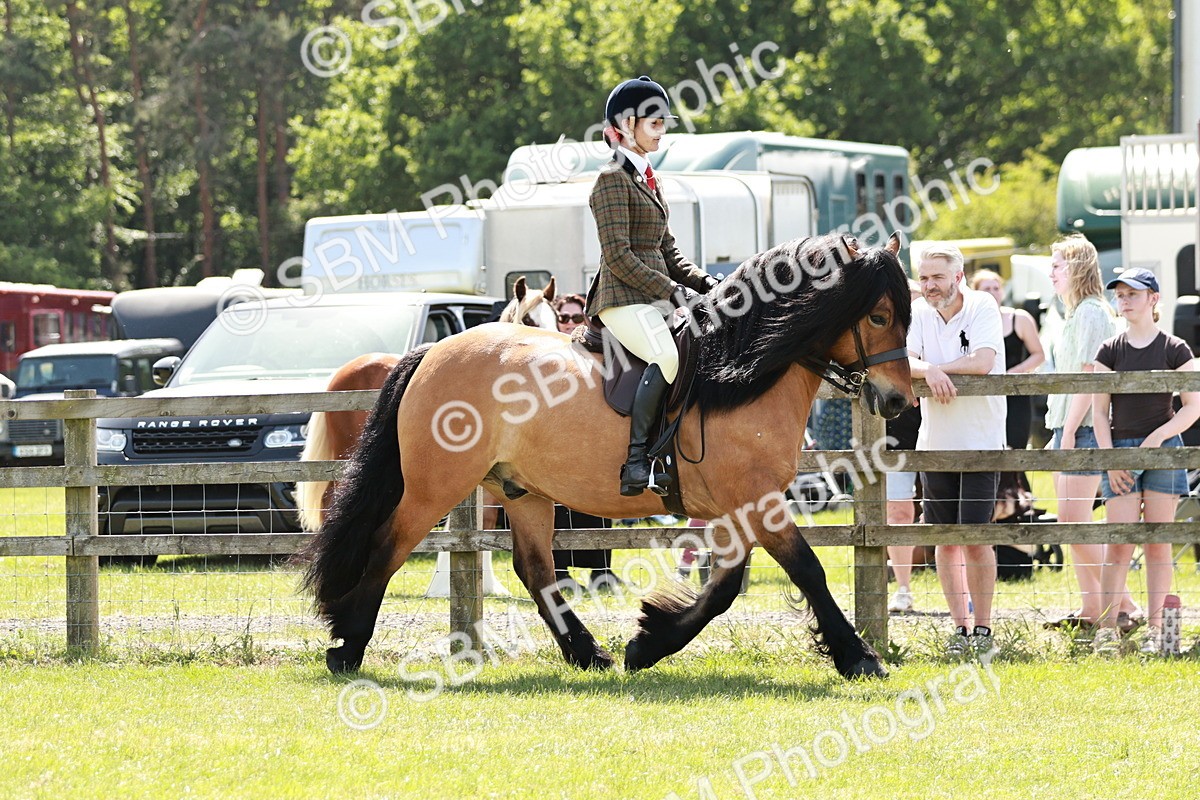SBM_07042 - Class 26-30 - Mountain and Moorland Ridden