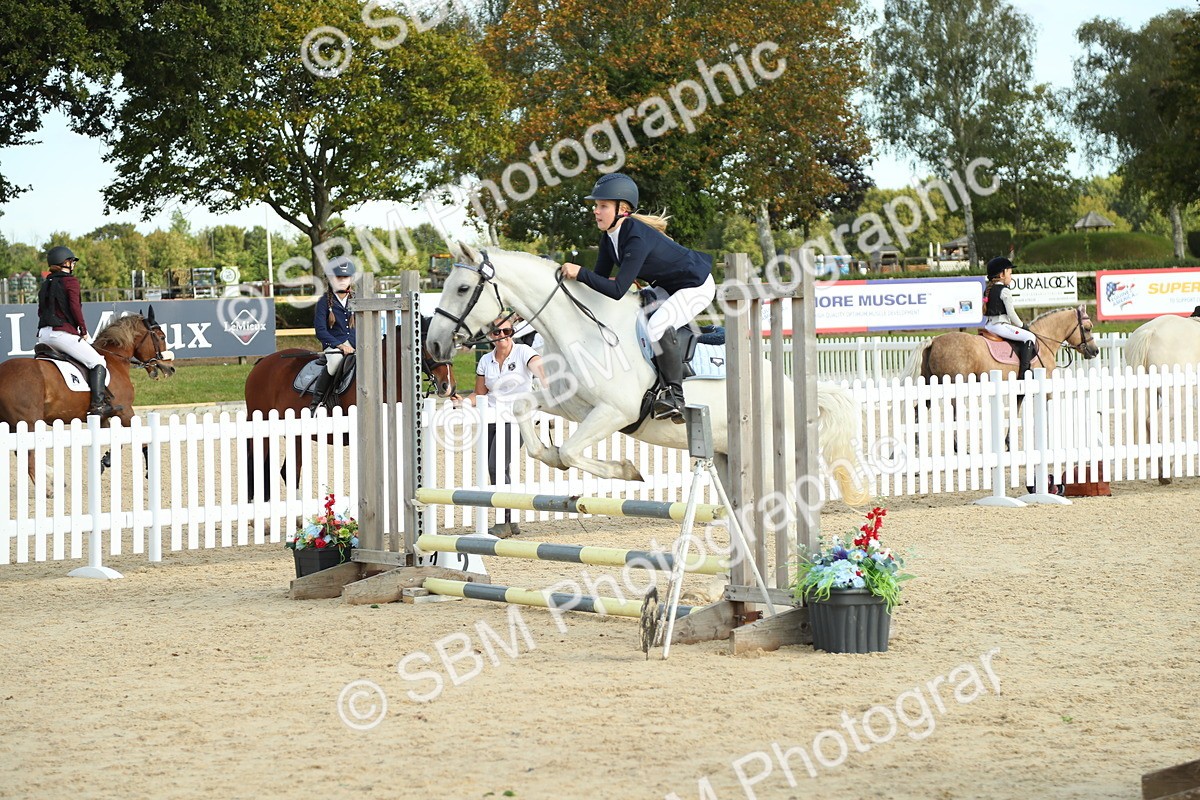 SBM_53528 - J8 - Junior Pony 65cm Championship
